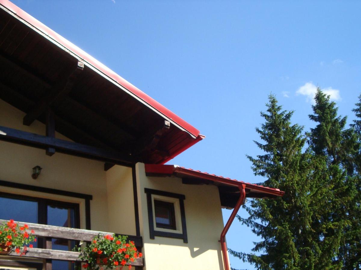 Отель Casa Cu Flori Буштени Экстерьер фото
