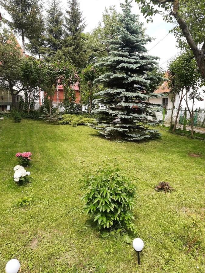 Отель Casa Cu Flori Буштени Экстерьер фото