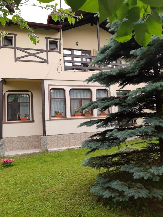 Отель Casa Cu Flori Буштени Экстерьер фото