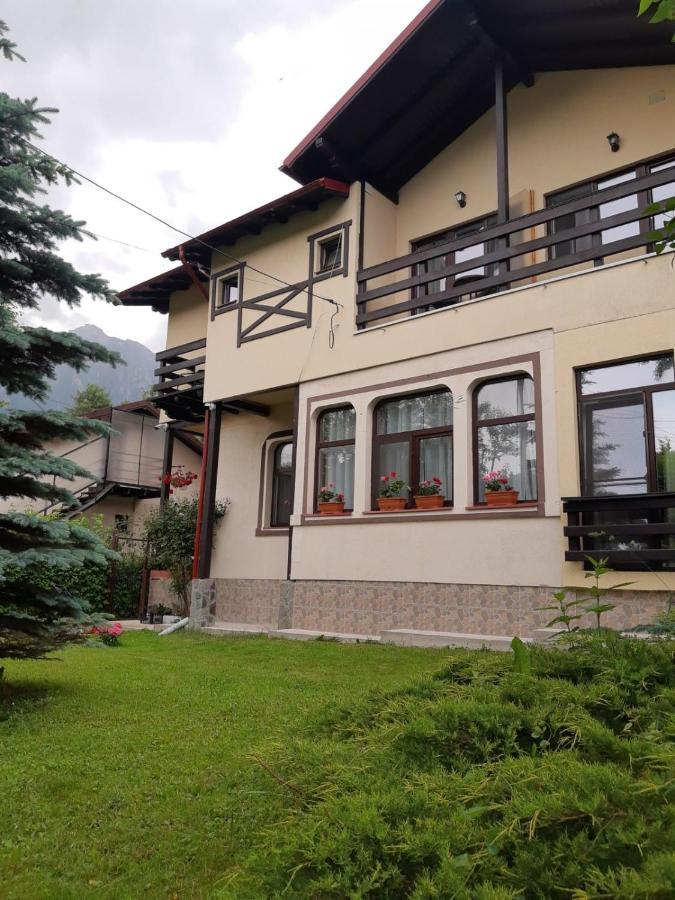 Отель Casa Cu Flori Буштени Экстерьер фото