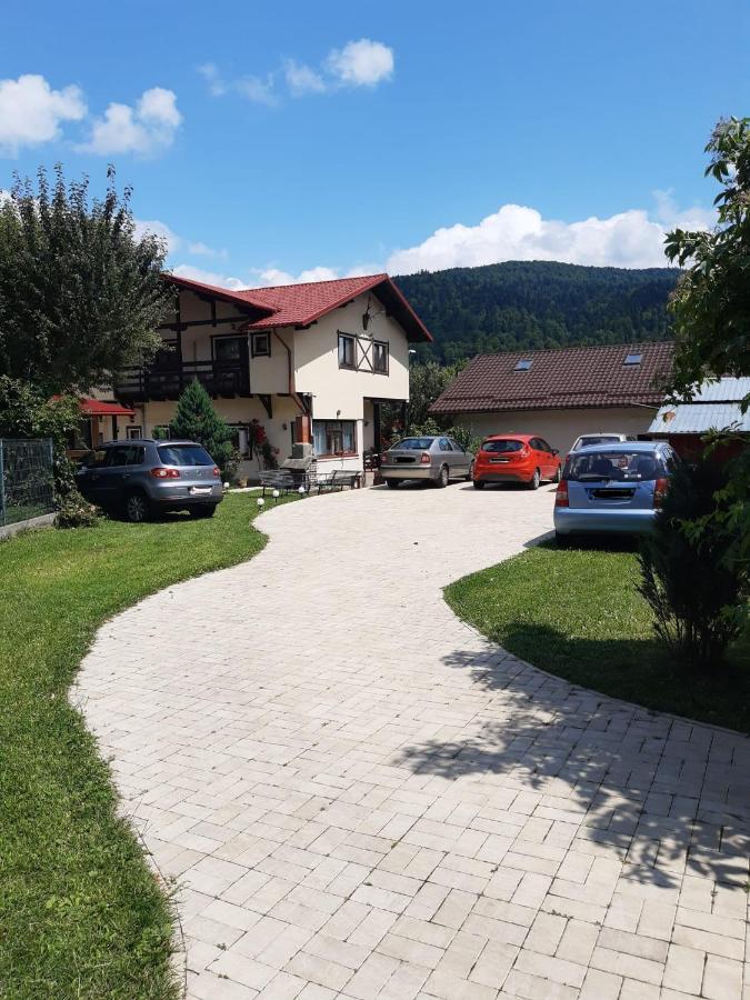 Отель Casa Cu Flori Буштени Экстерьер фото