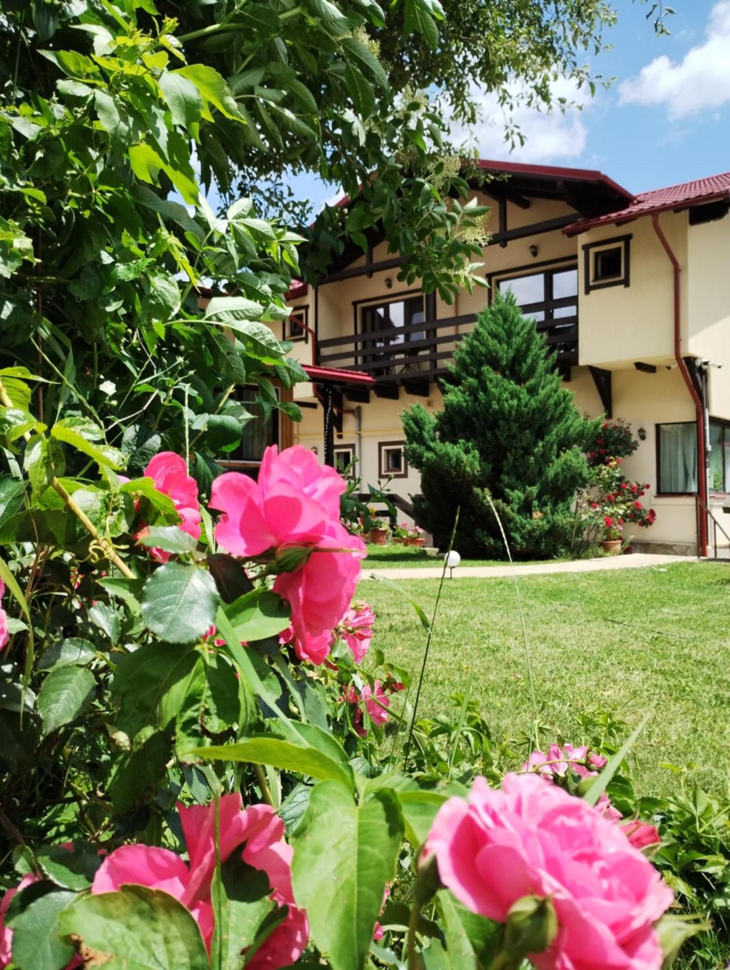Отель Casa Cu Flori Буштени Экстерьер фото